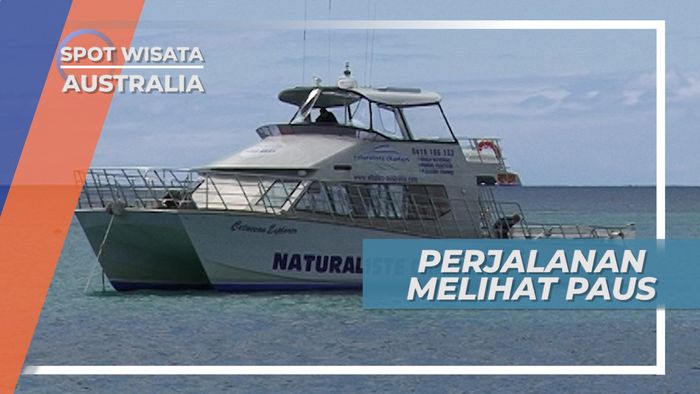 Naik Kapal Feri Menuju Spot Untuk Melihat Ikan Paus Biru, Australia