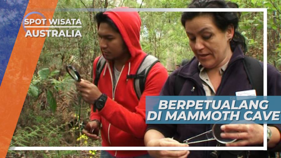 Menjelajahi Mammoth Cave, Mengenal Ragam Bunga Liar di Australia