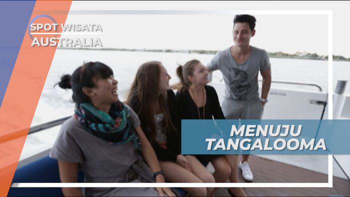 Naik Kapal Menuju Tangalooma Island Australia
