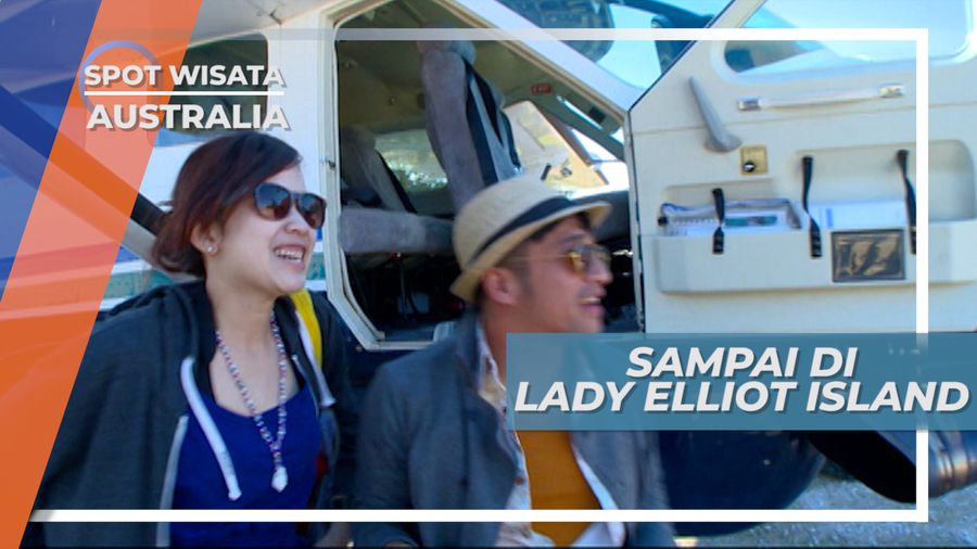Siap Berpetualang! Mendarat di Lady Elliot Island Australia