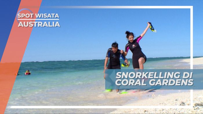 Berperahu Menuju Spot Snorkeling di Coral Garden, Lady Elliot Island Australia