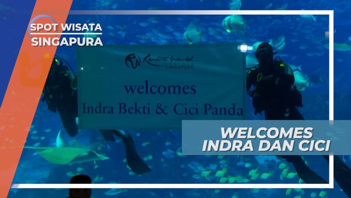 Kejutan Seru di Aquarium Rakasasa Terbesar di Dunia, Singapura
