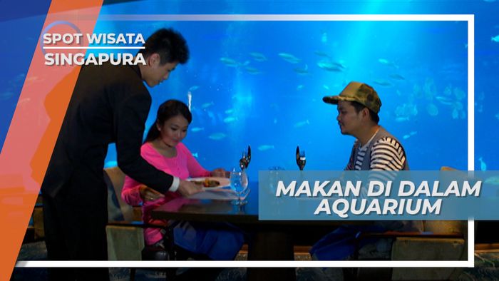 Pengalaman Luar Biasa, Menikmati Hidangan di Dalam Aquarium, Singapura