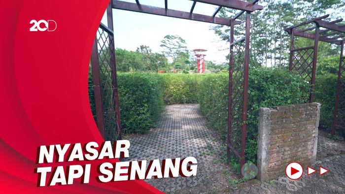 Asyiknya Main di Taman Labirin Indrokilo Boyolali