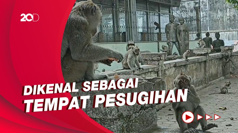 Kisah Makam Ngujang dan Kera Jelmaan Gaib