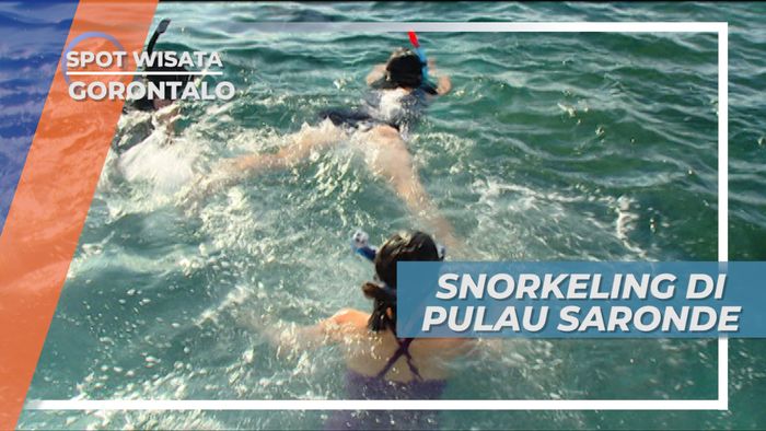 Menyelami Dasar Laut Di Lepas Pantai Sombu Wakatobi Sulawesi Tenggara