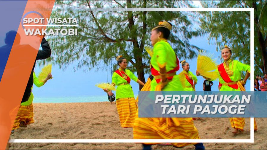 Tari Pajoge, Tarian Kipas Janur Simbol Kerinduan Ibunda Terhadap Anaknya di Pulau Tomia Wakatobi Sulawesi Tenggara 