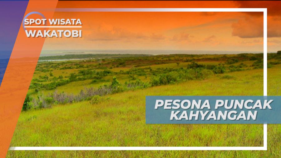Puncak Kahyangan Pulau Tomia, Dasar Laut Yang Terangkat Menjadi Bukit Berpanorama Indah di Sulawesi Tenggara