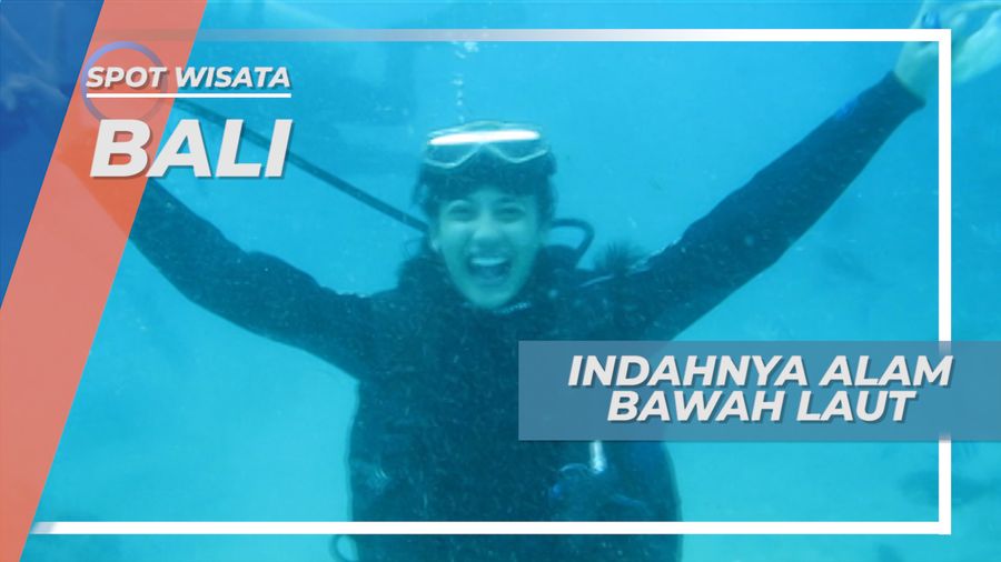 Remah-remah Sepotong Roti Mengundang Si Ikan Cantik di Bawah Laut Nusa Lembongan Bali
