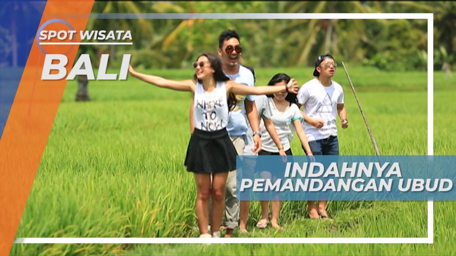 Indahnya Persawahan Ubud Bali, Seindah Dalam Filmnya Julia Robert