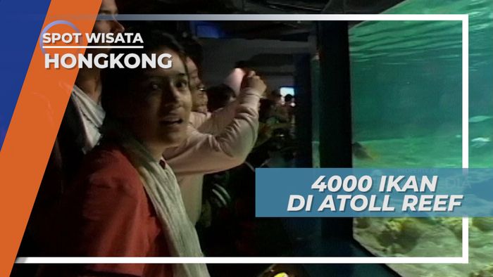 Atoll Reef Hongkong, Aquarium dengan Ribuan Jenis Ikan Didalamnya