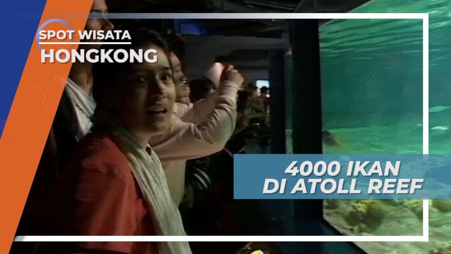 Atoll Reef Hongkong, Aquarium dengan Ribuan Jenis Ikan Didalamnya