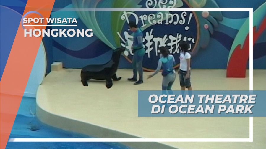 Pertunjukkan Satwa Laut di Ocean Theatre Hongkong