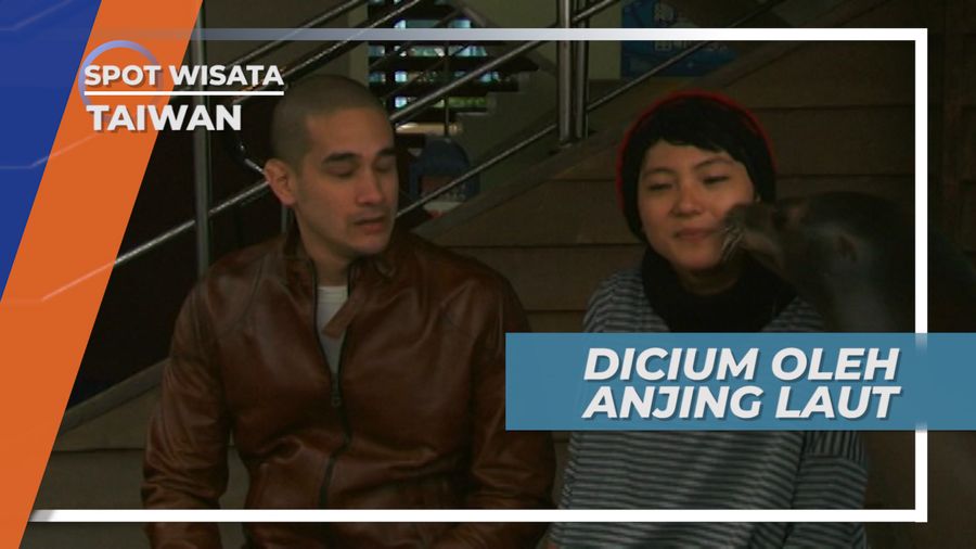 Tingkah Lucu Para Anjing Laut di Farglory Ocean Park Taiwan