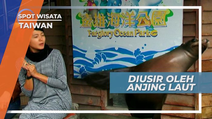 Melihat Hewan Laut yang Cerdas dan Terlatih di Farglory Ocean Park Taiwan