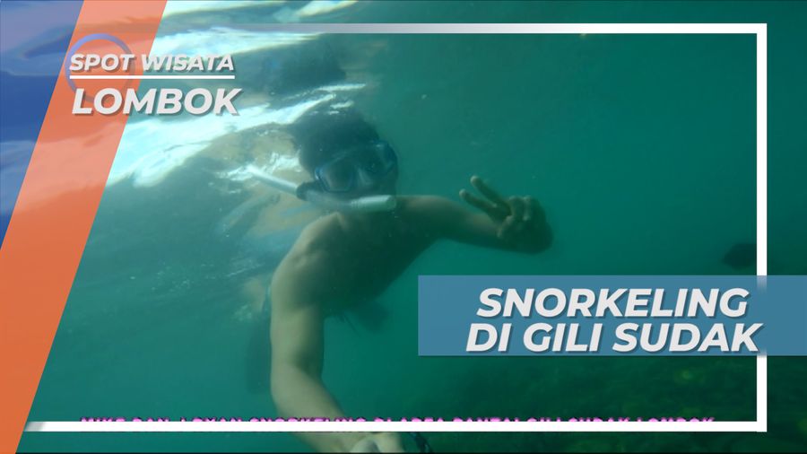 Menikmati Pemandangan Bawah Laut Gili Sudak Lombok