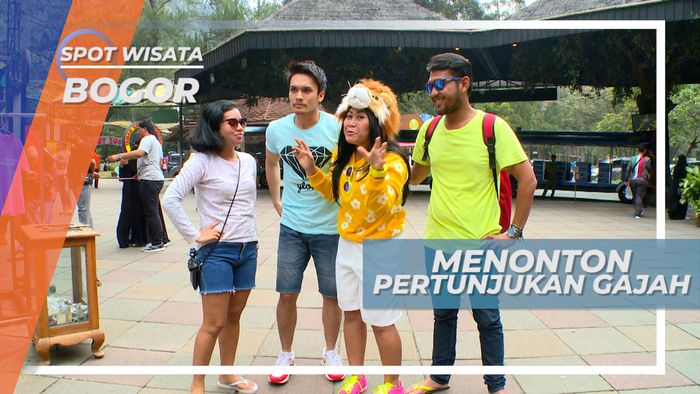 Menyaksikan Pertunjukan Atraksi Gajah, Bogor