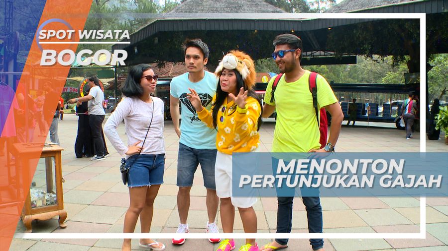Menyaksikan Pertunjukan Atraksi Gajah, Bogor