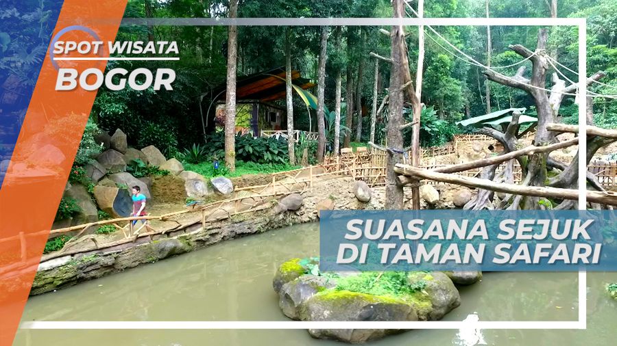 Taman Safari, Rileks Sejenak Menikmati Sejuknya Udara Bogor