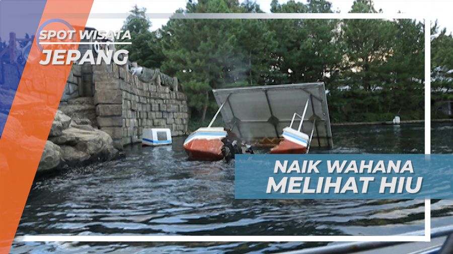 Mendebarkan! Naik Wahana Untuk Bertemu Dengan Hiu, Jepang