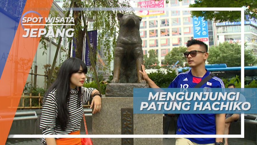 Monumen Anjing Hachiko, Haru Biru Kesetiaan, Jepang