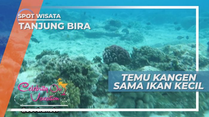 Pulau Kambing, Surga Bagi Para Penikmat Bawah Laut, Tanjung Bira