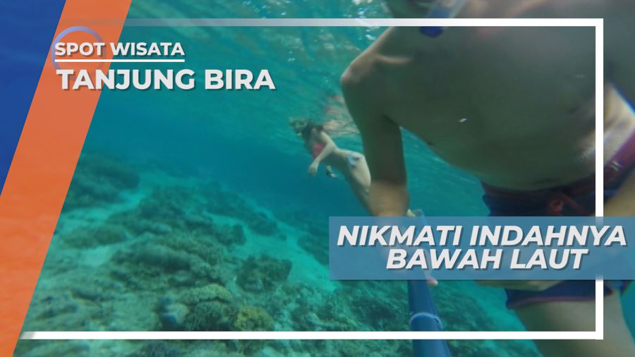 Snorkeling, Menyisir Surga Bawah Laut Pulau Kambing, Tanjung Bira