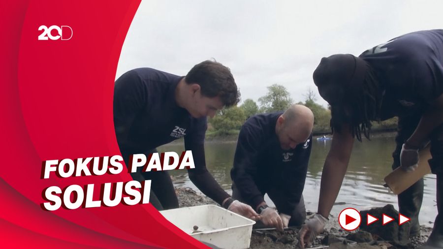 Ekosistem Sungai di Inggris Terancam Perubahan Iklim