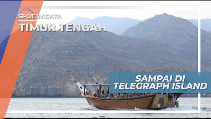 Berinteraksi Dengan Lumba-lumba di Telegraph Island, Oman Timur Tengah