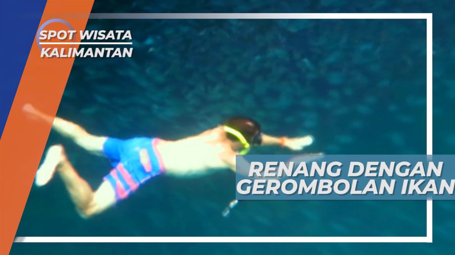 Menjelajah Pesona Keindahan Bawah Danau Labuan Cermin, Kalimantan Timur
