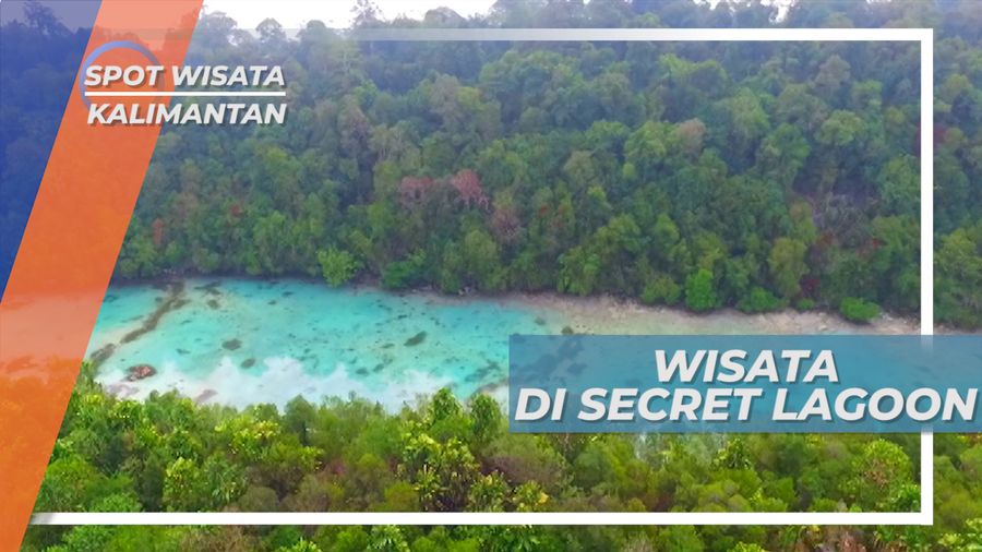 Secret Lagoon Kakaban, Danau Pinggir Laut yang Tersembunyi di Balik Gua, Kalimantan Timur