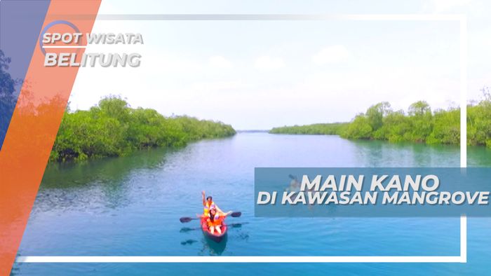 Dayung Kano, Menyusuri Birunya Kawasan Hutan Mangrove, Belitung