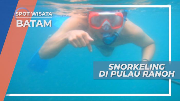 Terumbu Karang Warna Warni nan Cantik di Pulau Ranoh Batam