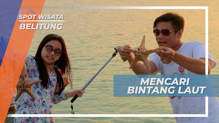 Menyapa Bintang Laut di Pulau Bintang, Belitung
