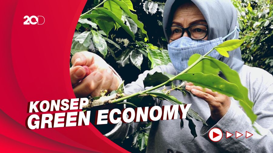 Kopi Wanoja dari Kamojang Bandung yang Kini Mendunia