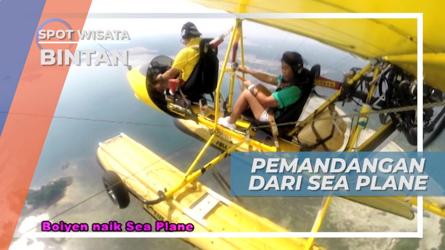 Pemandangan Indah dari Udara Bintan