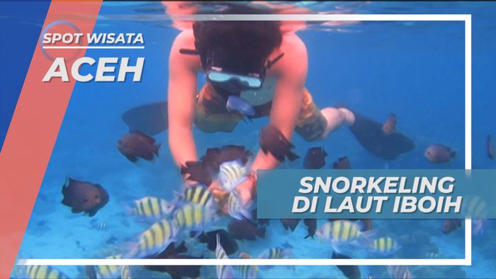 Snorkeling Menikmati Keindahan Bawah Laut Iboih Aceh