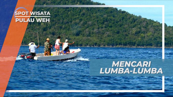 Melihat Dari Dekat Kawanan Lumba-lumba di Pulau Weh, Aceh
