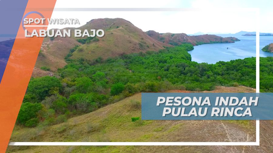 Pulau Rinca, Rumah Bagi Komodo Labuan Bajo Nusa Tenggara Timur