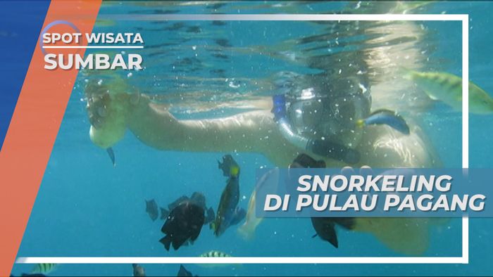 Pulau Pagang, Indahnya Surga Bawah Laut di Sisi Barat Pulau Sumatera