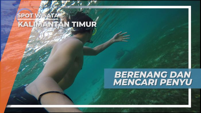 Snorkeling, Menikmati Indah Bawah Laut Sambil Berenang Bersama Penyu, Kalimantan Timur