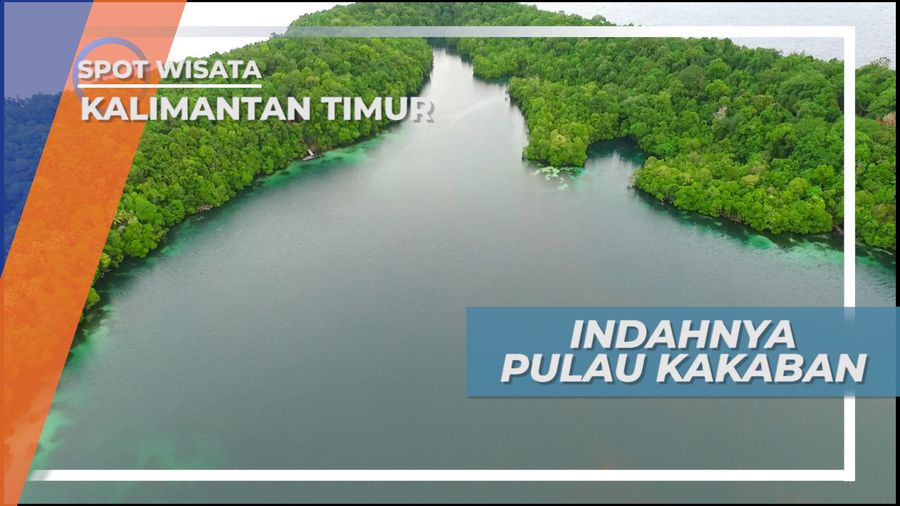 Kakaban, Pulau Istimewa Unik, Cantik dan Menarik di Kabupaten Berau, Kalimantan Timur