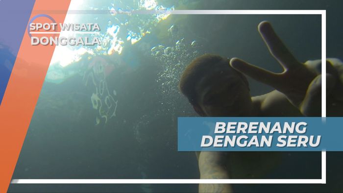 Merasakan Sensasi Dingin Berenang di Pusat Laut Donggala Sulawesi Tengah