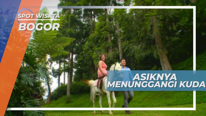 Berkuda Santai Menikmati Taman yang Hijau, Bogor