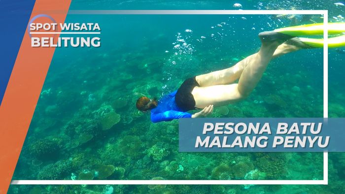 Batu Malang Penyu, Mengintip Keindahan Surga Bawah Laut di Negeri Laskar Pelangi, Belitung