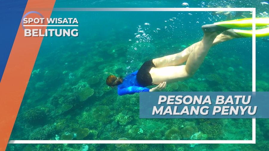Batu Malang Penyu, Mengintip Keindahan Surga Bawah Laut di Negeri Laskar Pelangi, Belitung