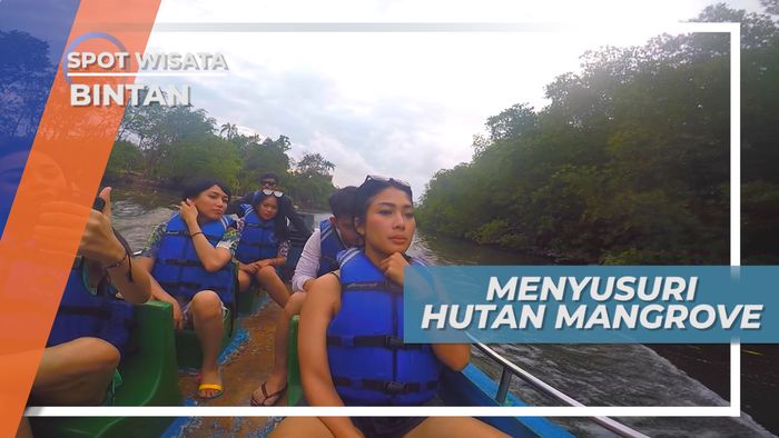 Menyusuri Hutan Mangrove Bintan yang Lebat dan Asri