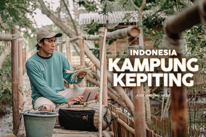 Kepiting Primadona Ekspor Laut di Indonesia