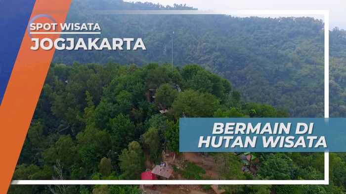 Hutan Wisata Kalibiru, Tempat Beragam Aktifitas Outbound yang Seru di Yogyakarta