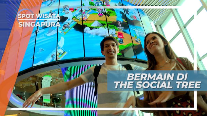 The Social Tree, Salah Satu Hiburan Teknologi Tinggi di Bandara Singapura